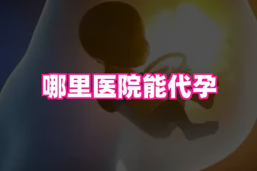 61助孕网 2