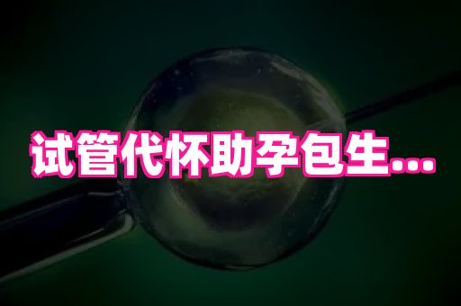 61助孕网 3